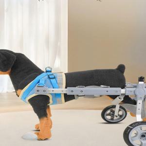 강아지 휠체어 보행기 보조기 후지마비 재활훈련 노견 고양이