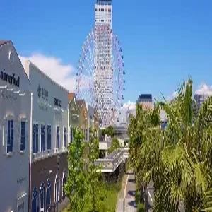 [4명이상 출발확정] 오사카/교토/나라/고베 4일 #베스트셀러 #핵심관광 #세계문화유산 #카페거리