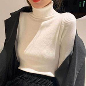 [기타]골지니트 여자 골지 목폴라 니트 티셔츠 슬림핏 데일리 패션