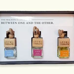 이음디퓨저 차량용 방향제 3개 세트(5ml+5ml+5ml) (WFHTZ1Y)