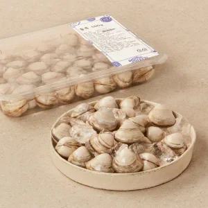 [생물][국산] 서해안 동죽 (500g)
