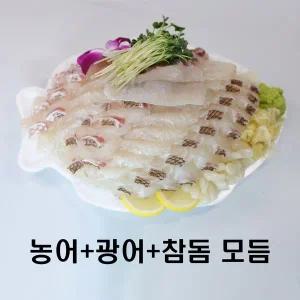 [노다지수산][농어+광어+참돔] 스페셜 활어 모듬회
