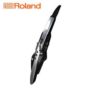 롤랜드 전자색소폰 에어로폰 AE-30 / Aerophone PRO