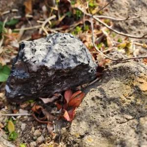 돌 모양 금고 화분 열쇠 보관