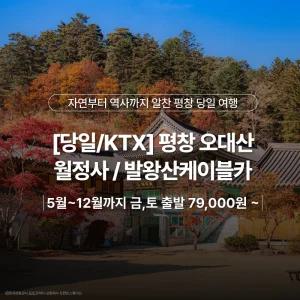 [당일/KTX] 평창 오대산 월정사/발왕산케이블카