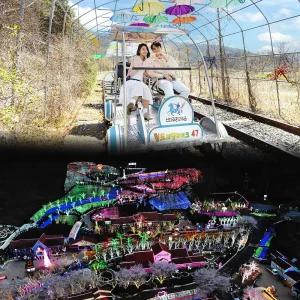 [청도] 레일바이크&프로방스 빛축제 PKG/청도가볼만한곳/야경/레일바이크/사진명소/액티비티/레저/관광/체험