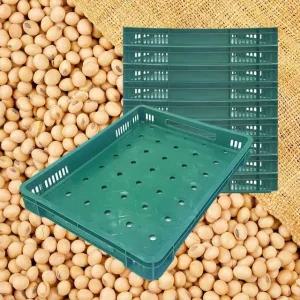 고품질 포장 두부판 녹색 10개/두부박스 어묵판 바스켓 상자 (WDEF34A)