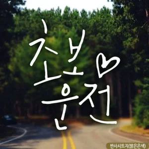 자동차스티커 초보운전 세로하트 초보자동차스티커 반사