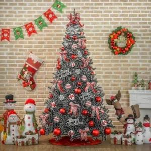 코지 중급 추리 크리스마스풀세트_23655646