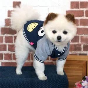 [셀러에이드]강아지 옷 점퍼 캠퍼스룩 외투 블루 산책 겨울옷 애견옷 반려견옷