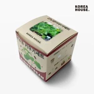 강낭콩 키우기세트 베란다 텃밭 홈가드닝 식물 기르기 (WFFKJR5)