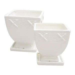 [골드스마일]다육도자기화분 선인장화분 다육이용기 미니다육도자기