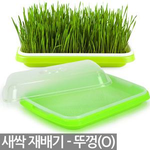 새싹 재배기 세트 - 새싹재배기 새싹씨앗 재배 용기 통 키트 새싹씨앗 보리 브로콜리 케일 청경채 보리씨앗