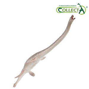 [컬렉타] 엘라스모사우루스