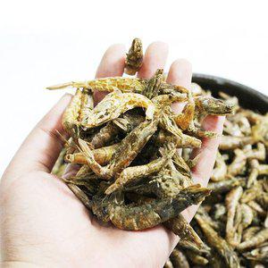 동해안 보리새우 500g