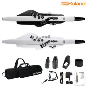 롤랜드 AE20 전자색소폰 에어로폰 풀패키지