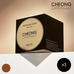 [청담스타일] 포레스트 더 살롱 컬러 골드라벨 초코 브라운 x 3개