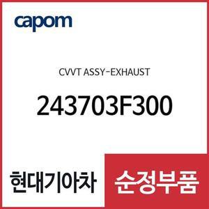 [현대모비스]연속 가변 밸브 타이밍 기구-배기 (243703F300) 뉴 에쿠스, 모하비