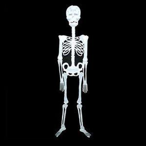 할로윈 야광 해골 모형 장식품 파티 소품 꾸미기