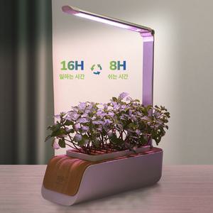 수경재배기 식물재배기 LED조명 실내 스마트팜 콩나물 야채 상추 키우기