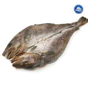 촉촉한 염대구 대자(51-53cm내외) 1마리 보냉팩 /반건조 생선