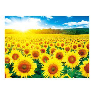 [퍼즐피플]DIY 보석십자수 해바라기들판6 40x50cm 풍경 캔버스형