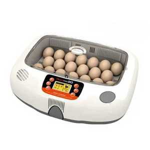 유정란 부화기 닭 조류 인큐에비어 메추리 키우기