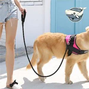 [하프클럽/알티피아]대형견 편안한 리드줄 2m 조절 가능한 산책용