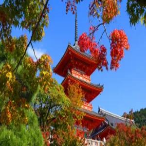 오사카3일 #시내온천호텔&음료무한제공 #전일관광or유니버셜or1일자유 / 오사카,교토,고베