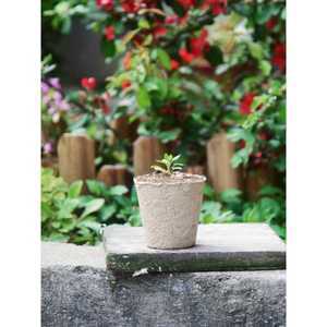 지피포트 모종컵 원형 종이화분 씨앗 펠렛 육묘 100개