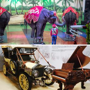 [제주] 점보빌리지+세계자동차&피아노박물관 입장권 / 실내관광지 미디어아트 제주동물원