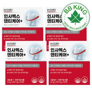 인테로 인사엑스 덴티케어 남성 여성 어르신 칼슘 뼈건강 치아건강 영양제 비비킹