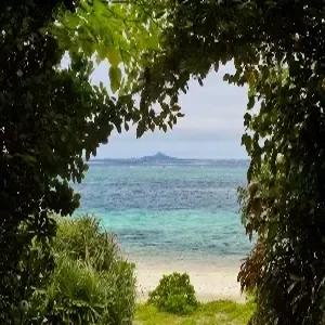 오키나와 자유 3일 #란타나국제거리 #나하시내숙박 #조식포함 #여행자보험