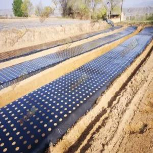 농장 마늘유공비닐 멀칭비닐 타공 구멍 두께 쪽파 흑막 잡초 더덕 농업용