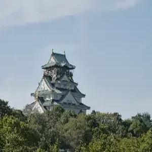 [청주출발] 오사카/나라/고베 4일 #유니버설스튜디오재팬 #가성비추천 #낭만항구도시 #도톤보리 #사슴공원