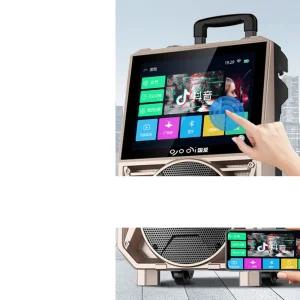 홈 노래방 기계 무선 블루투스 스피커 야외 반주기 노래방 기계(17인치) + 싱글 무선 마이크