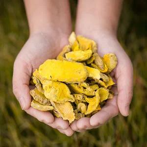 국산 울금 200gX2개 울금차 울금강황 덩이뿌리 울금차 향신료 건조 건 말린 한방차 약재 약초 약방 국내산