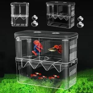[골드스마일]구피 치어 통 번식함 부화통 소형 2칸