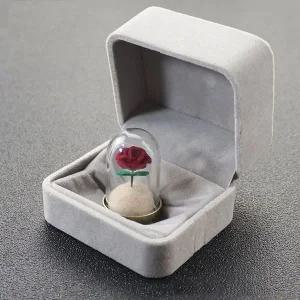 [골드스마일]털보관함 강아지 수집 케이스 고양이 2종세트