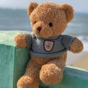 [골드스마일]곰인형 아기 테디베어 30cm 부드러운 어린이푹신한봉제인형