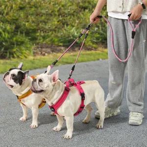[골드스마일]트윈 독 산책줄 1.5M 강아지 줄 강아지목줄 애견산책줄 로프리드줄