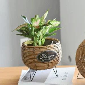 힐링하우스 스탠드 화분 바구니 꽃 꽂이 커버 미니