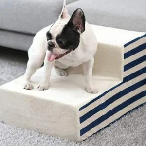 [골드스마일]강아지계단 강아지 2단 스텝 세리나 아이보리블루