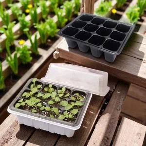 [골드스마일]미니 뚜껑 모종 트레이 반려 식물 온실 하우스 12구