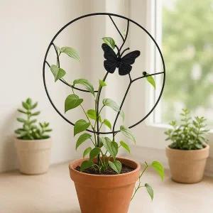 [골드스마일]식물 지지대 플랜테리어 넝쿨 지주대