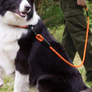 [골드스마일]반려동물 야간 빛반사 튼튼한 리드줄 산책줄 핸즈프리리드줄
