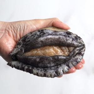 완도사랑 활전복 1kg 7~8미 국내산 완도산