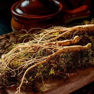 프리미엄 산양산삼 A급 9-10년 3뿌리 선물세트 (편백+보자기포장)