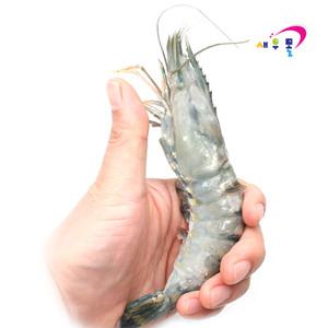 블랙타이거새우 왕특대 500g 10마리 보리새우 오도리