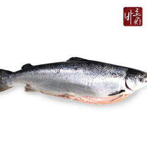 [바른씨][HACCP]노르웨이 생연어 한마리 통마리 (원물 6.5kg 내외)